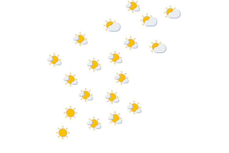 Forecast