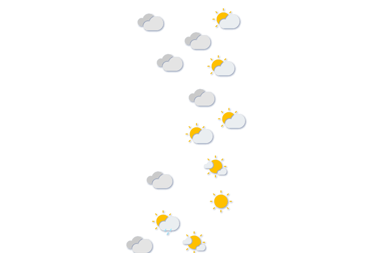 Forecast
