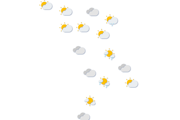 Forecast