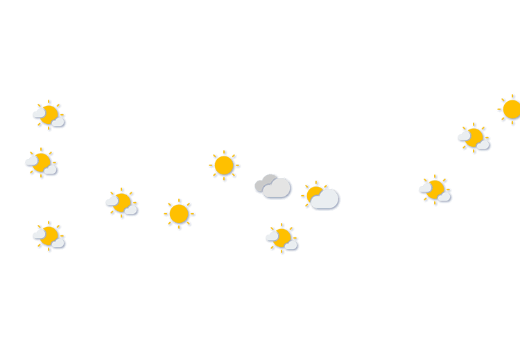 Forecast