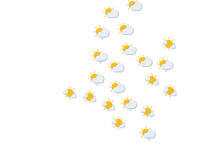 Forecast