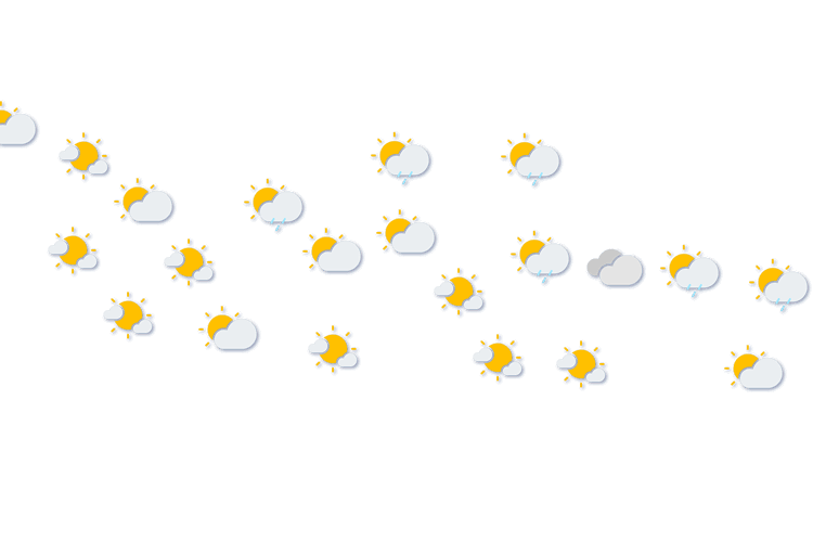 Forecast