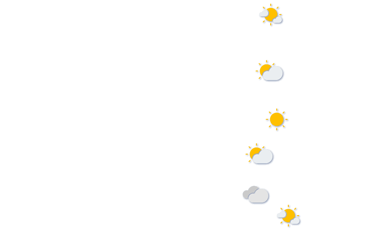 Forecast