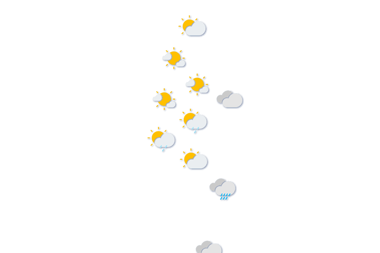 Forecast