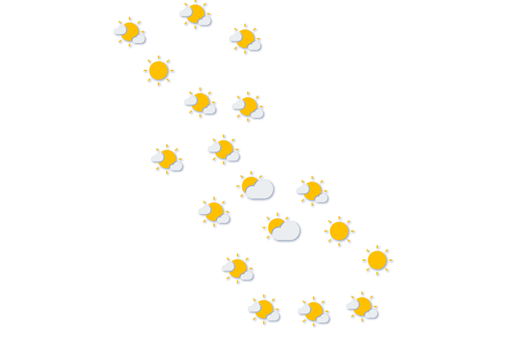 Forecast