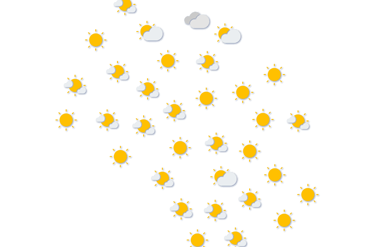 Forecast