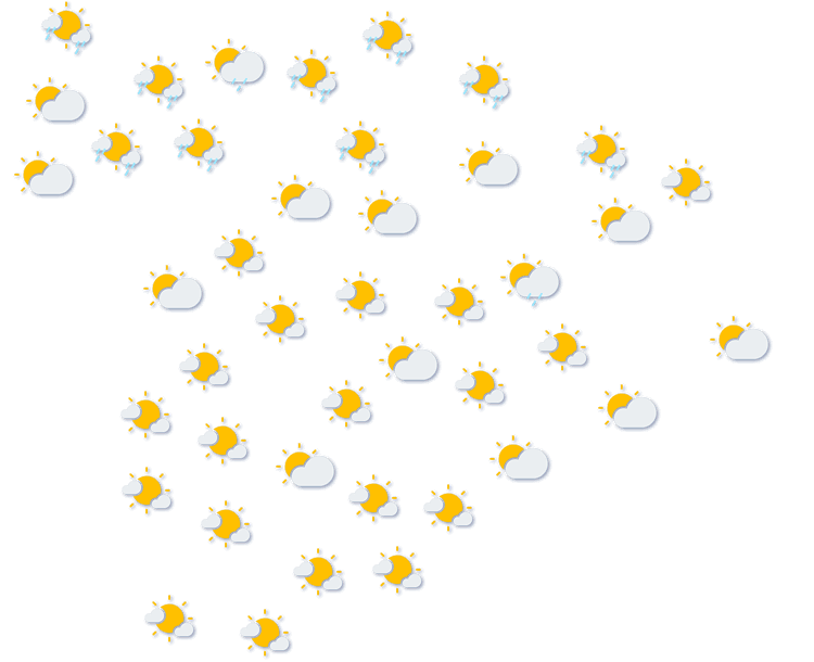 Forecast