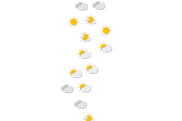 Forecast