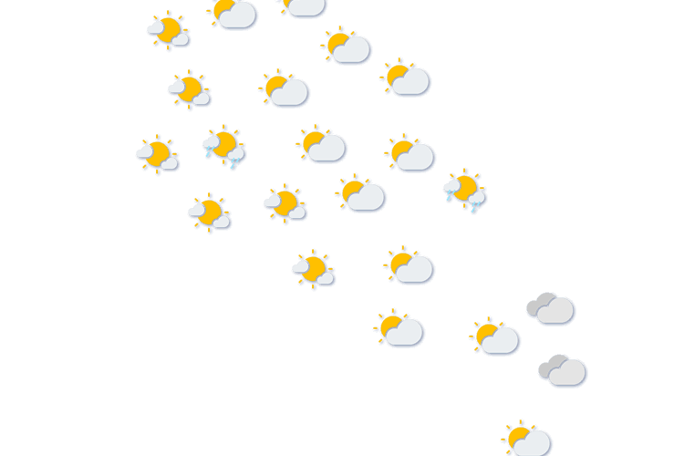 Forecast