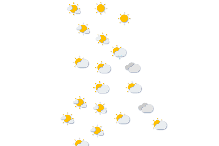 Forecast