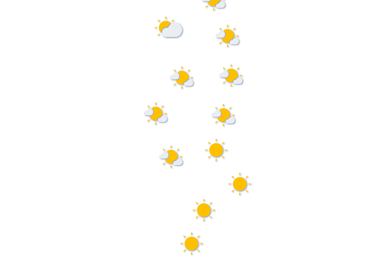 Forecast