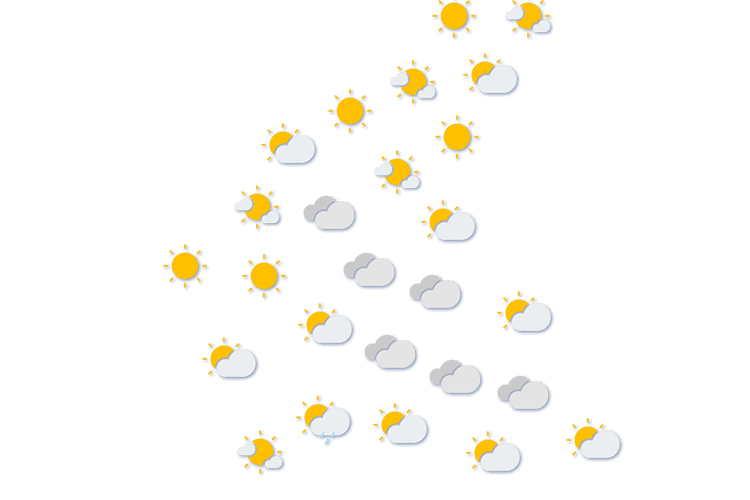 Forecast