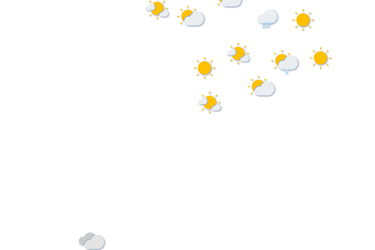 Forecast