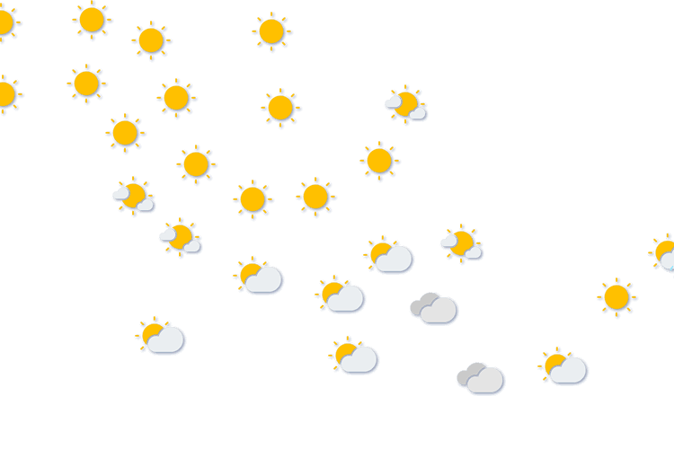 Forecast
