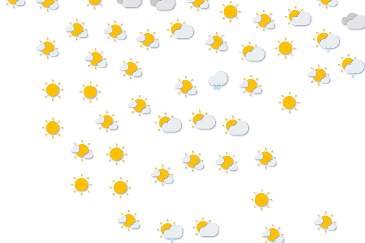 Forecast