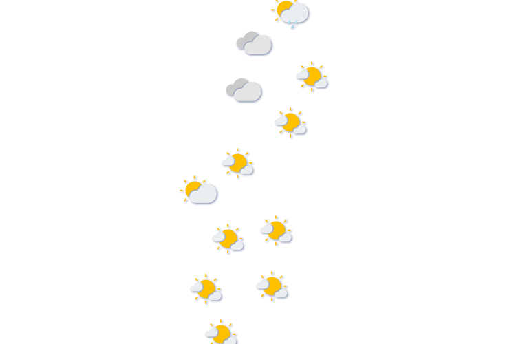Forecast