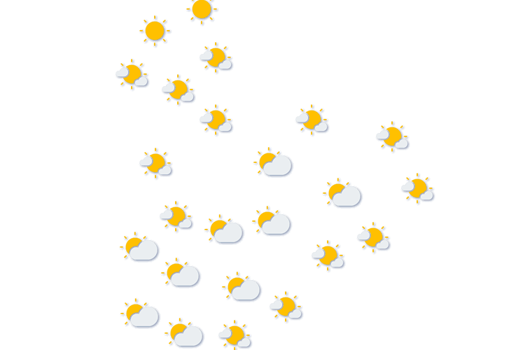 Forecast