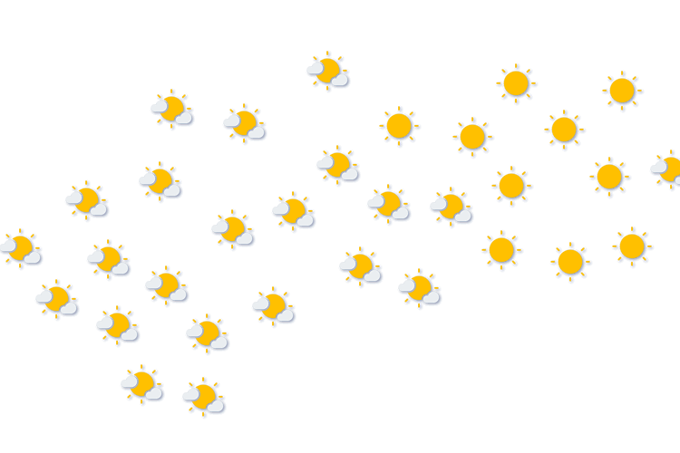 Forecast