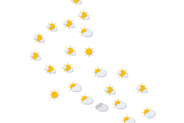 Forecast