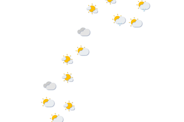 Forecast