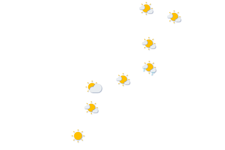 Forecast