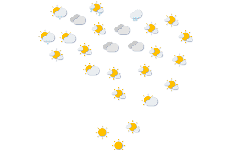 Forecast