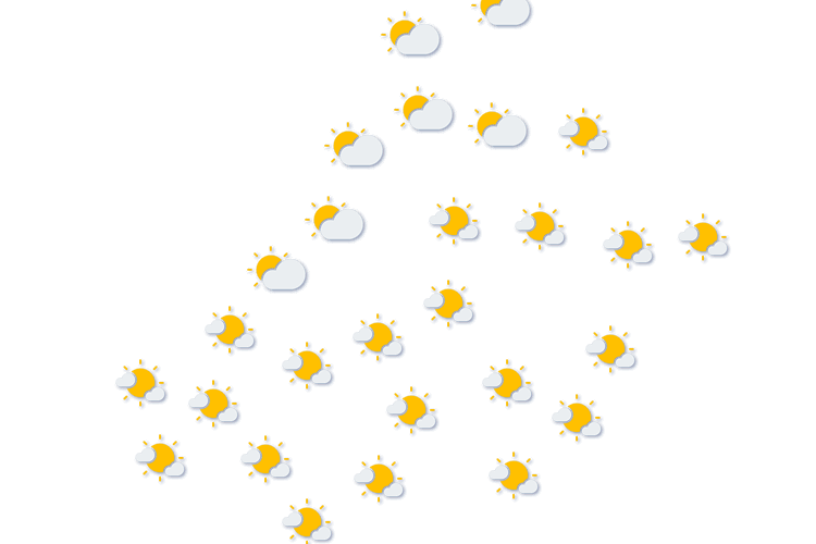 Forecast
