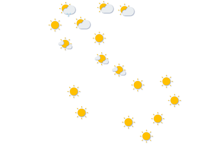 Forecast