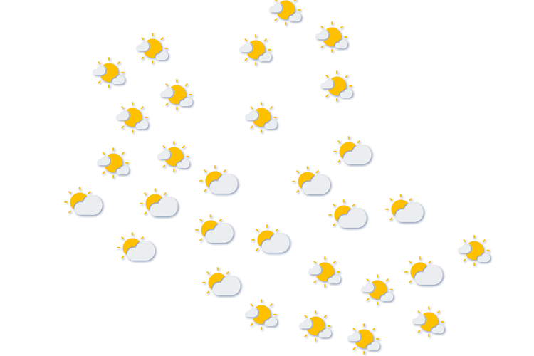 Forecast