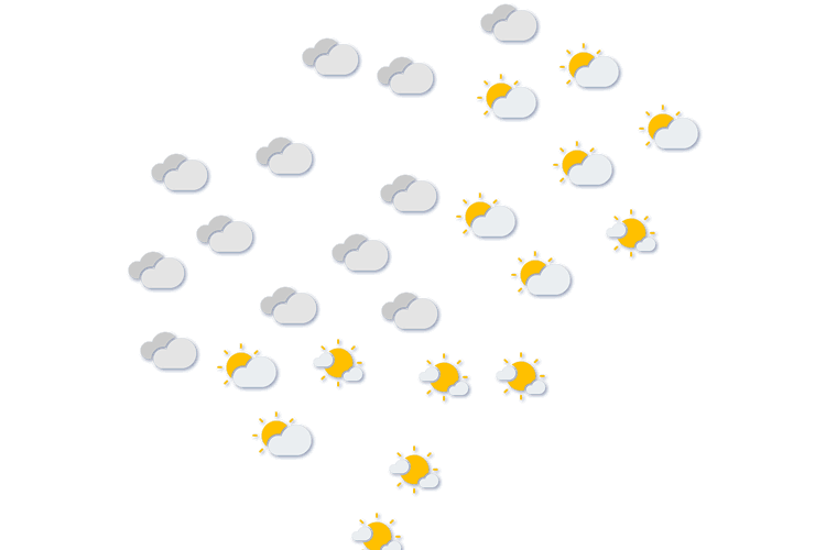 Forecast