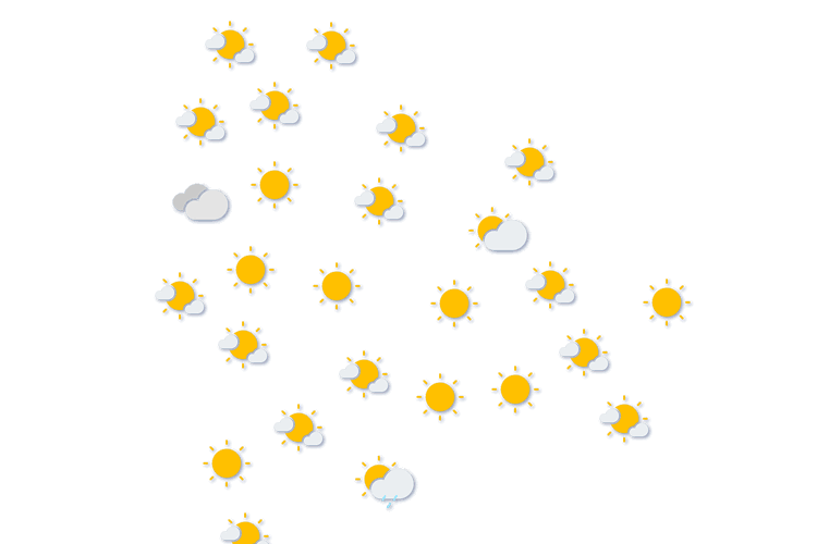 Forecast
