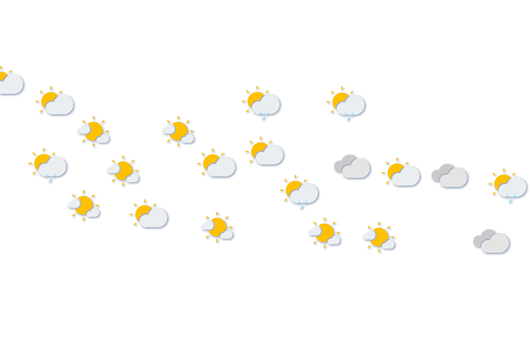 Forecast