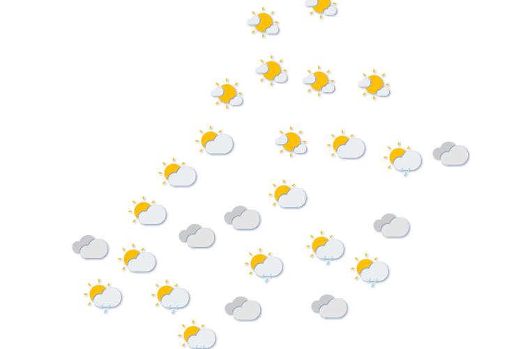 Forecast