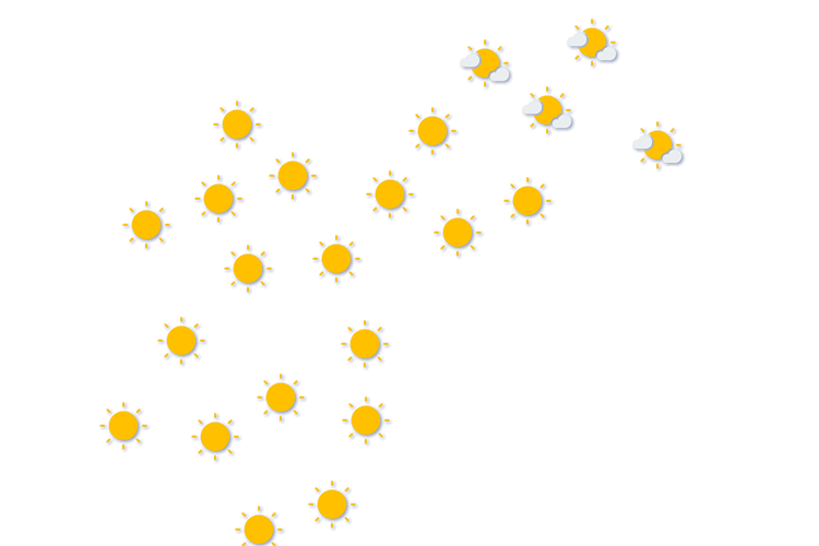 Forecast