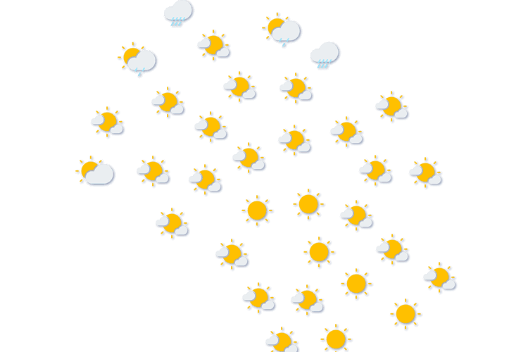 Forecast
