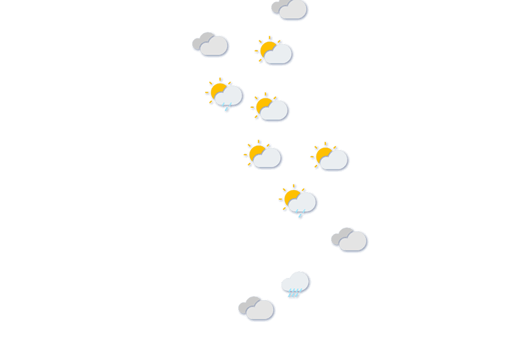 Forecast