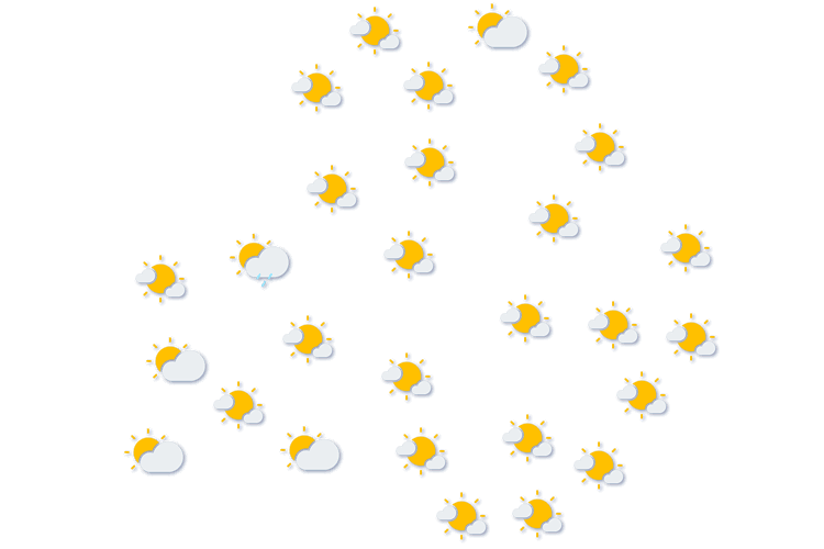Forecast