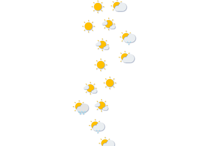 Forecast