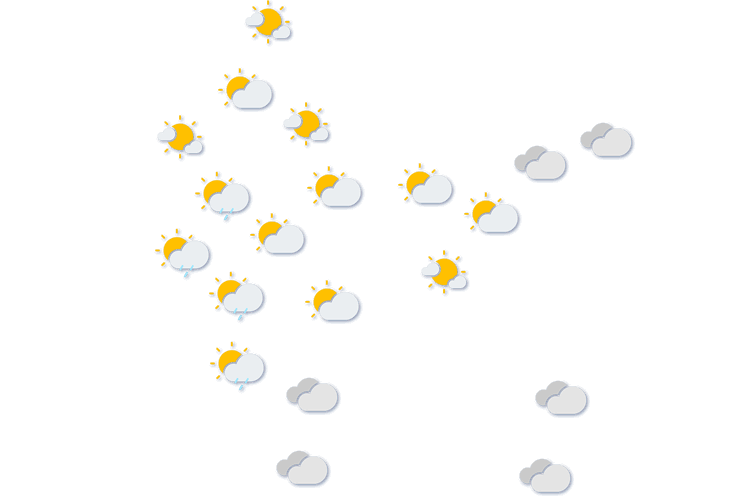 Forecast