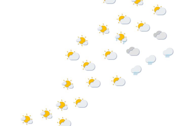 Forecast