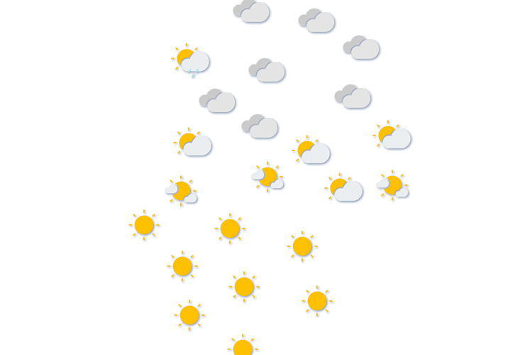 Forecast