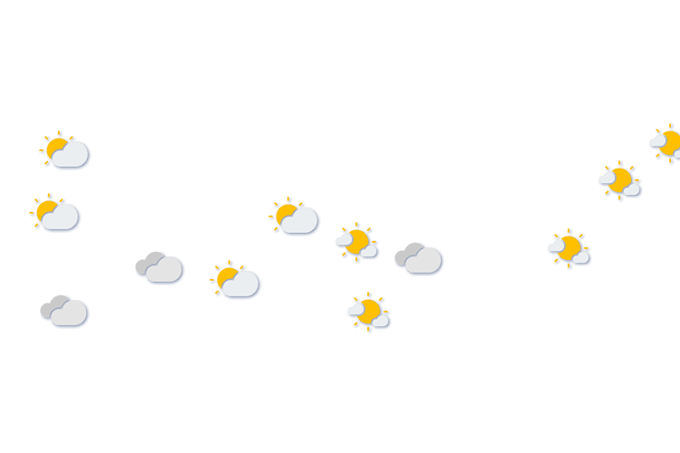 Forecast