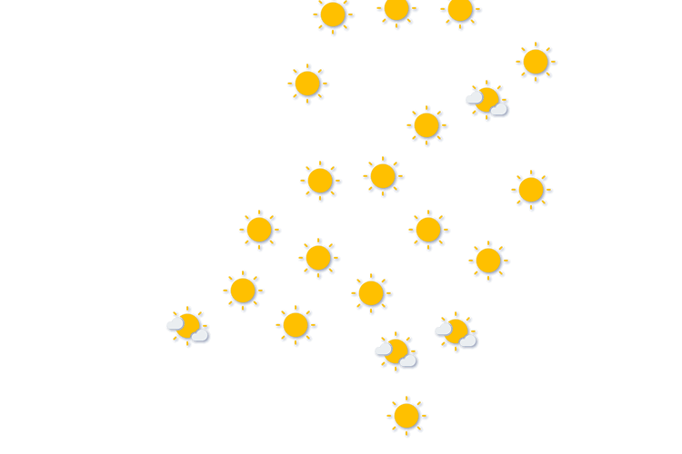 Forecast