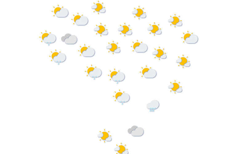 Forecast