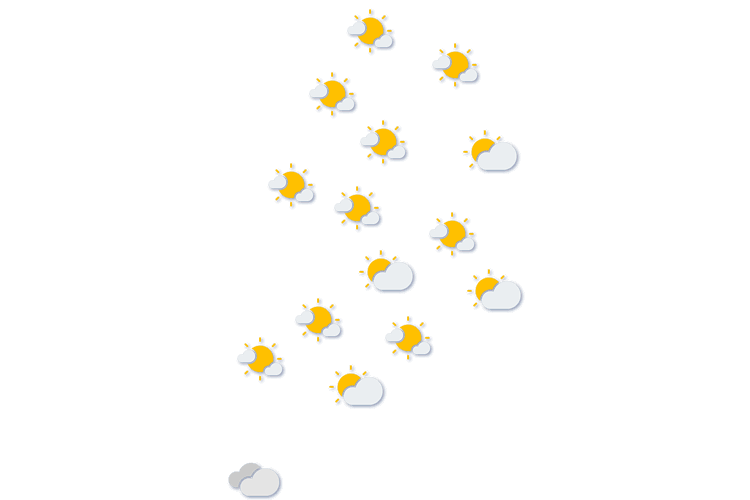 Forecast