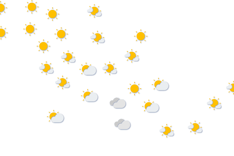 Forecast