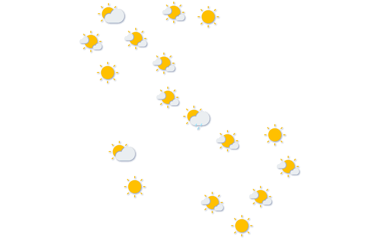 Forecast