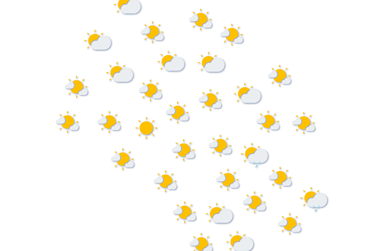 Forecast