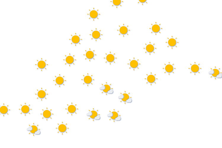 Forecast
