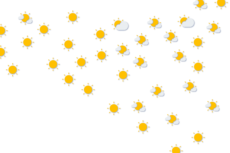 Forecast